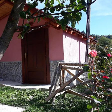 Villa Vrbena エクステリア 写真