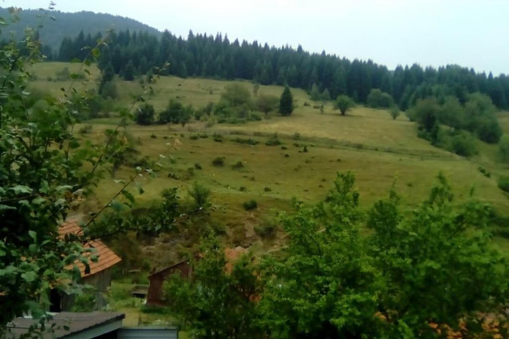 Villa Vrbena エクステリア 写真