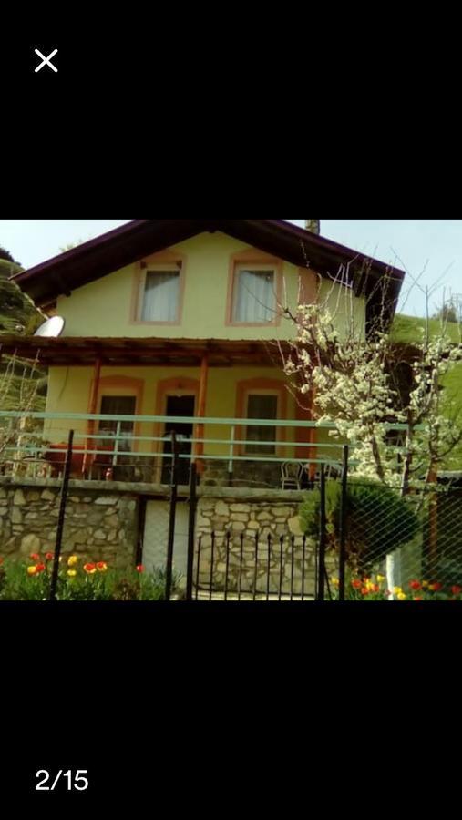 Villa Vrbena エクステリア 写真