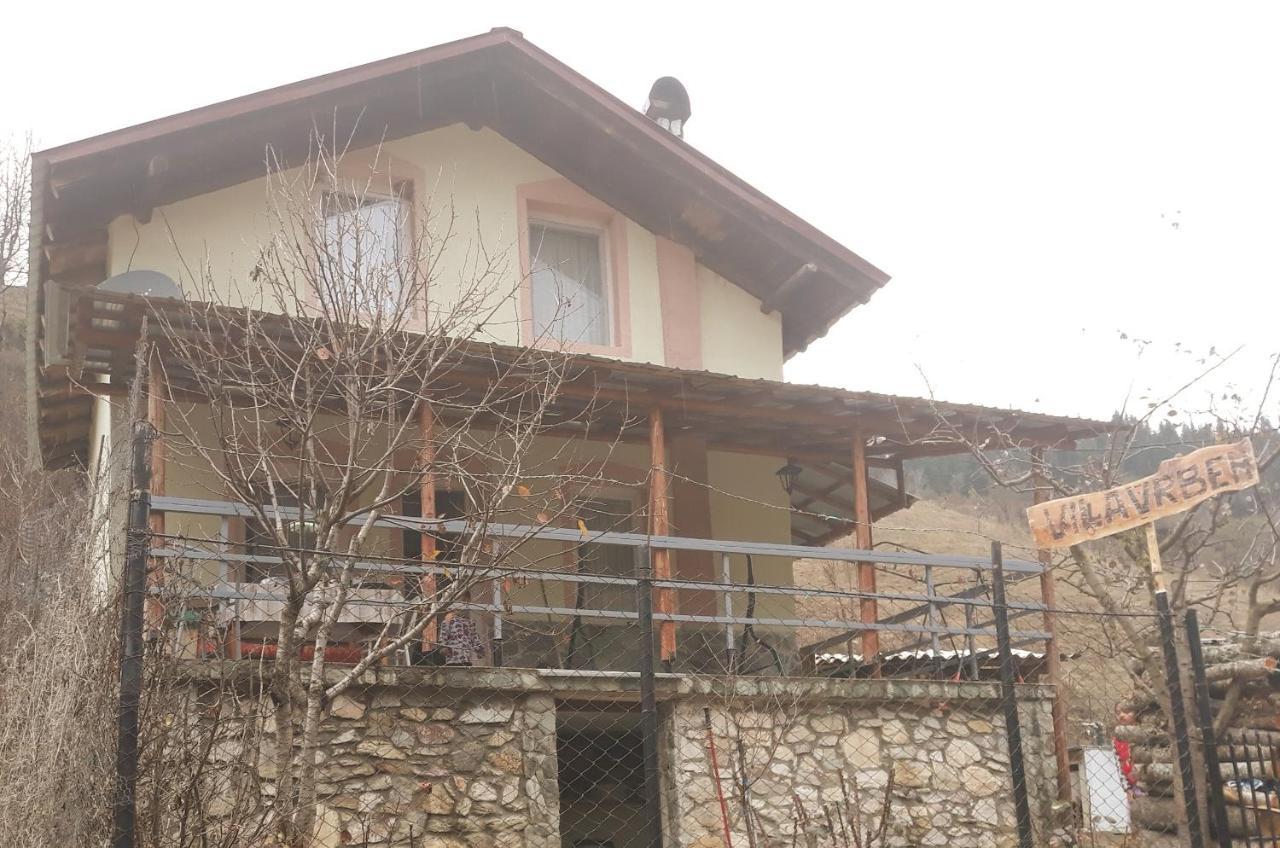 Villa Vrbena エクステリア 写真