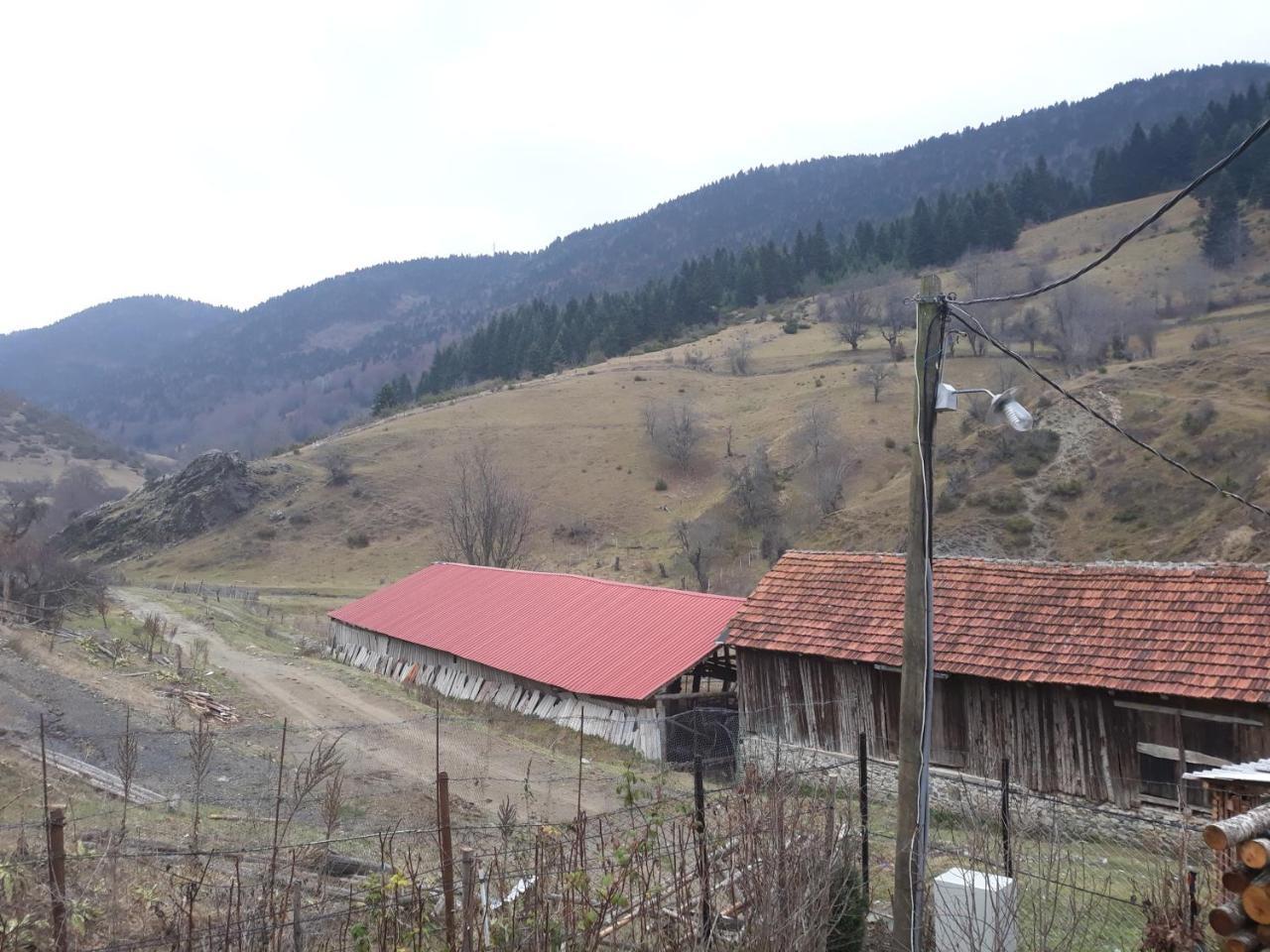Villa Vrbena エクステリア 写真