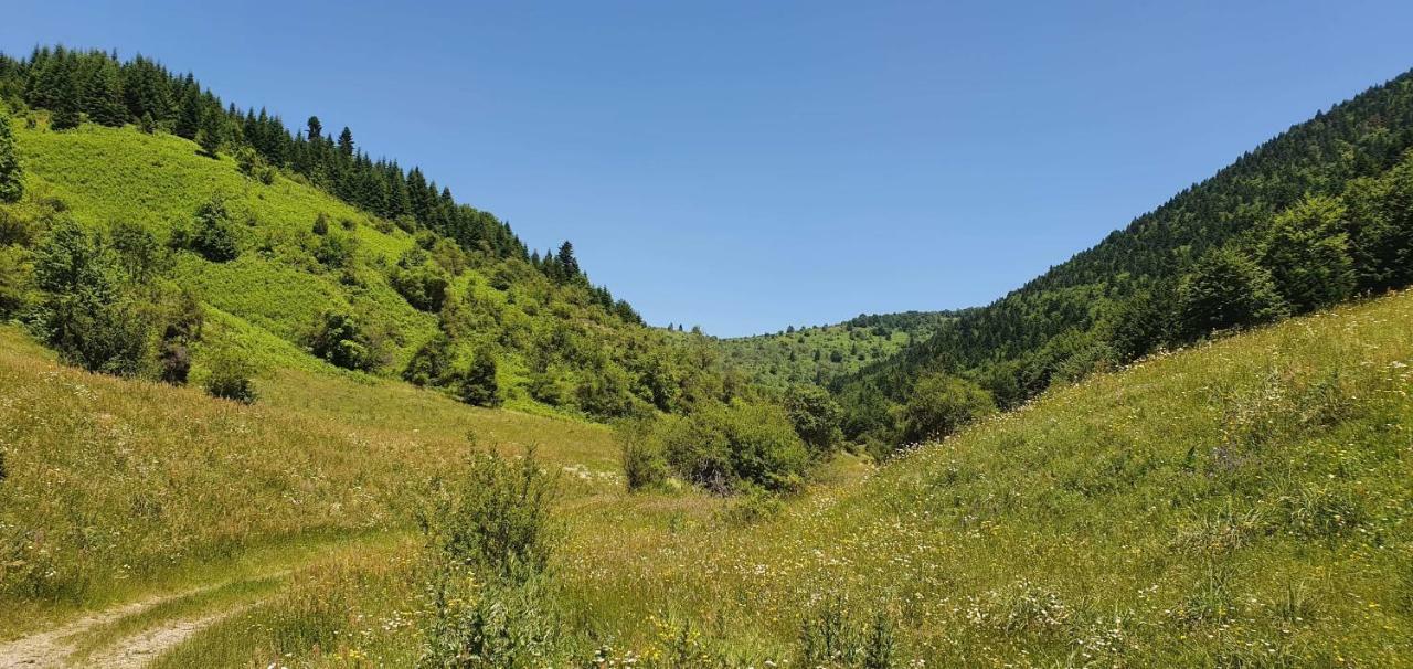 Villa Vrbena エクステリア 写真