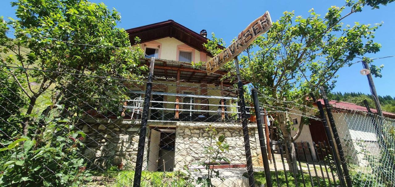 Villa Vrbena エクステリア 写真