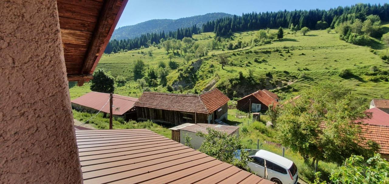 Villa Vrbena エクステリア 写真